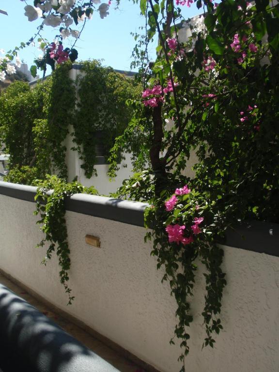 Fevro Hotel Agia Galini Kamer foto