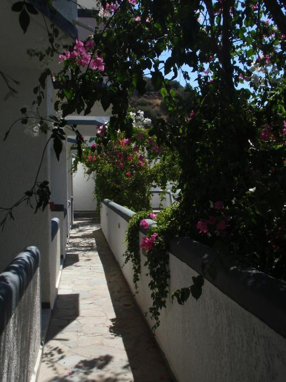 Fevro Hotel Agia Galini Kamer foto